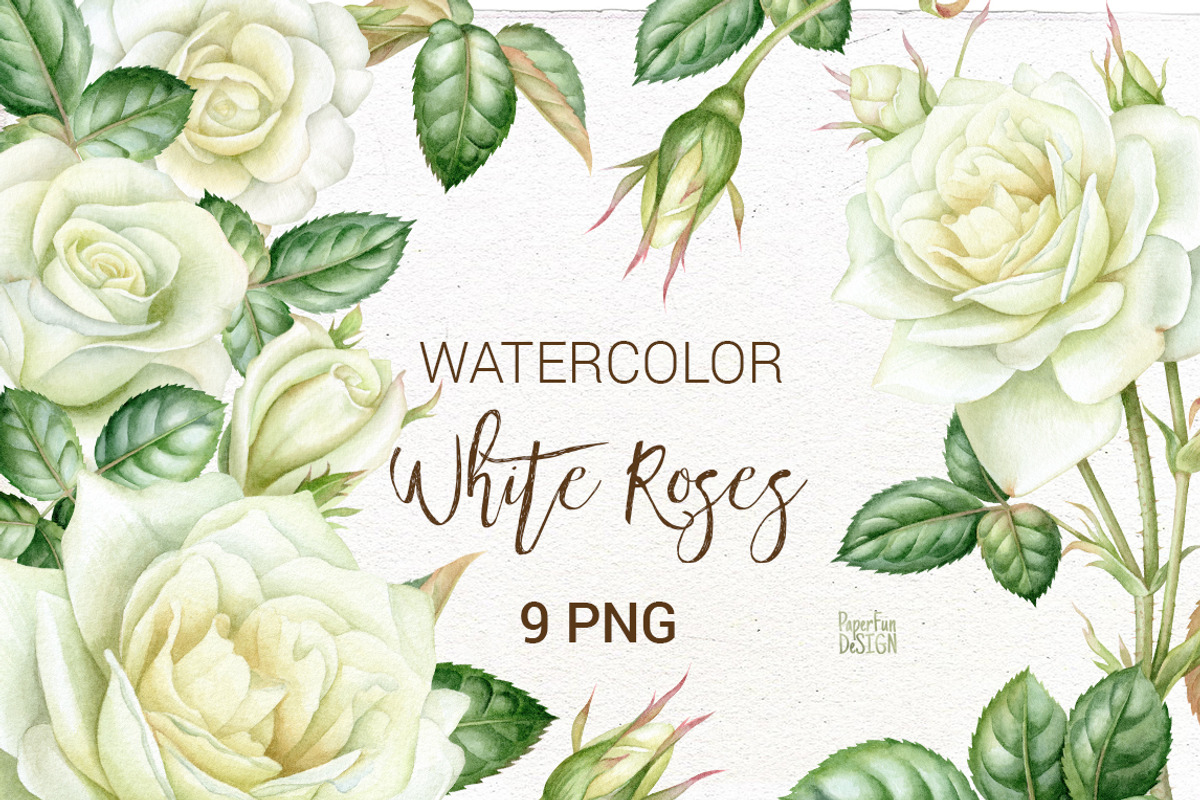 Watercolor white roses clip art., an Illustration by Mary (Photo 1 of 2)