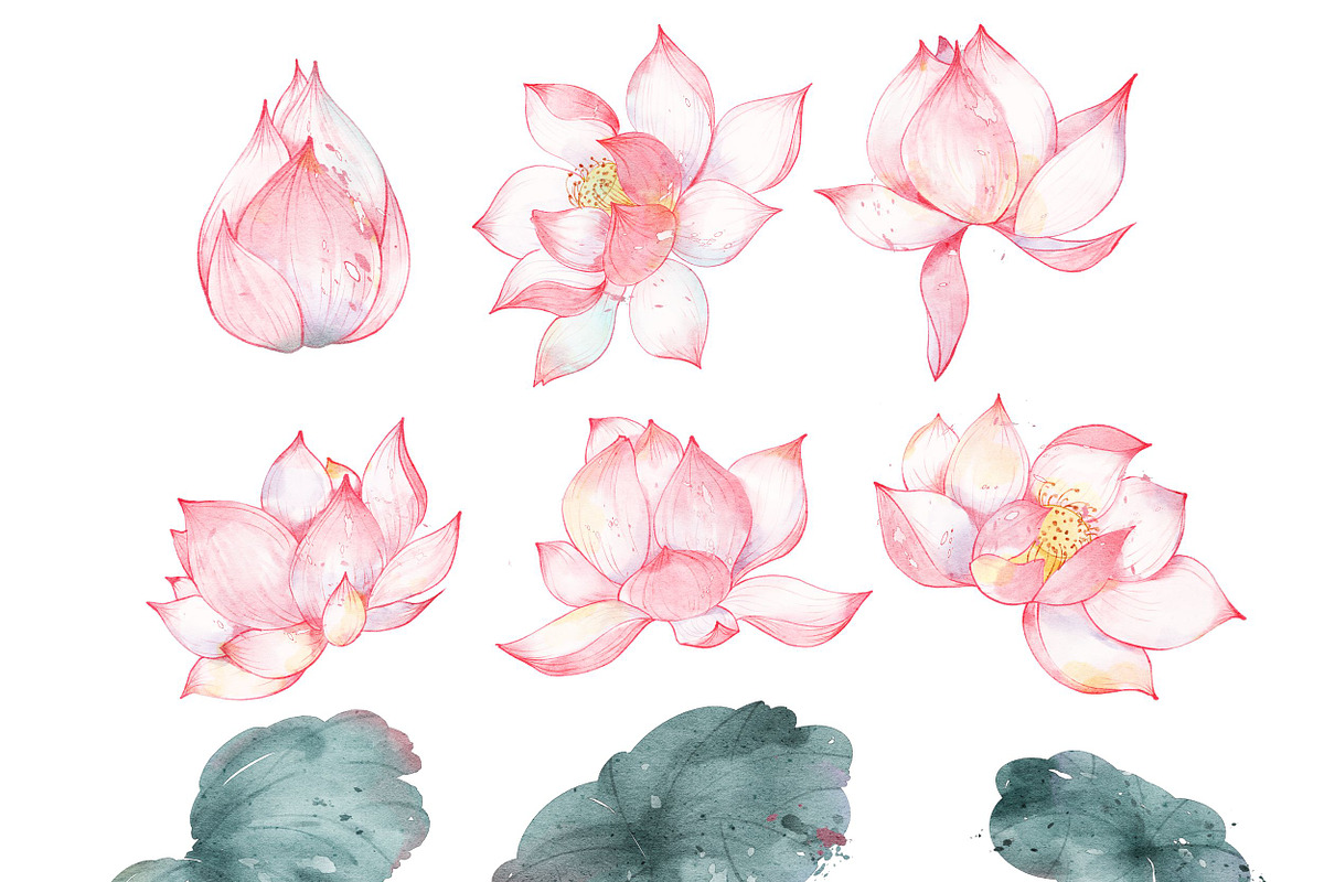 Watercolor Lotus Clip Art Collection, an Object Illustration by ArtbyHien (Photo 4 of 5)