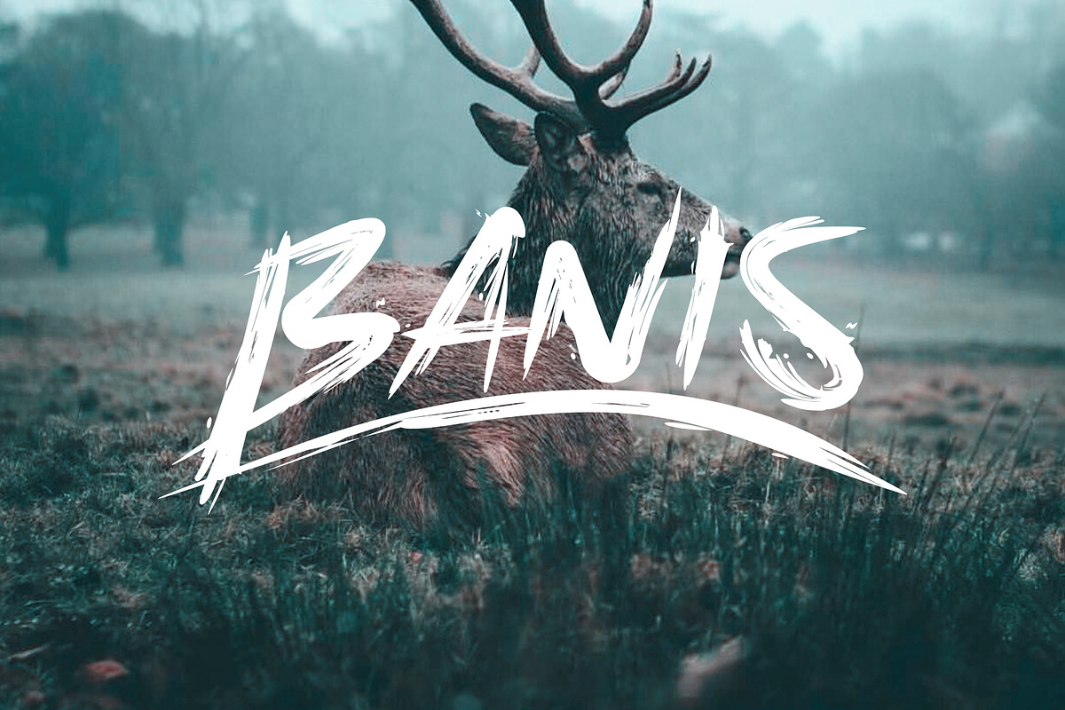 Banis Bush Font
