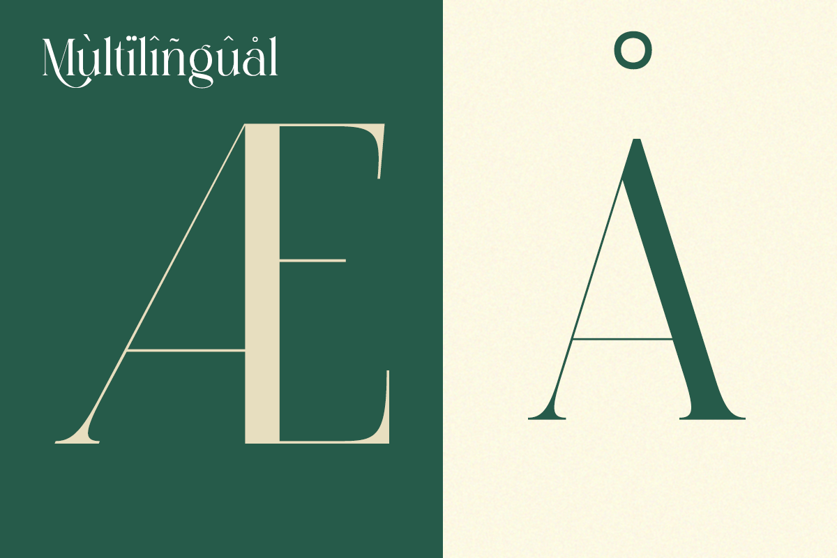 Sesbania - Modern Minimal Branding, a Serif Font by Qweera Studio (Photo 10 of 12)