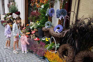 Children admiring colorful flowers outside a shop in Rzeszow, Poland, a Photo by AS photostudio