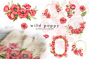 Red Poppy Watercolor Clipart, a Decorative Illustration by CaraulanStore (Thumbnail 1 of 11)