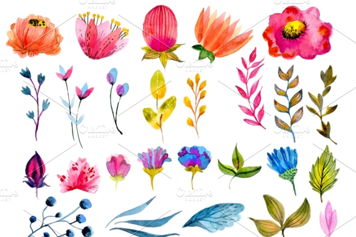 Big watercolor floral collection, an Illustration by JaneLane (Photo 2 of 3)