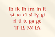 Stiepa | Modern Serif & Sans, a Serif Font by Dora Typefoundry (Thumbnail 21 of 28)