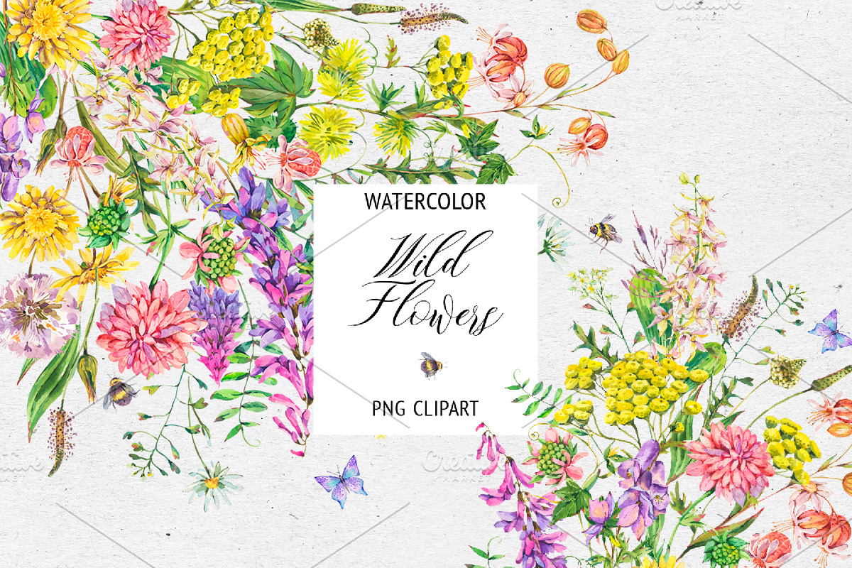 Watercolor meadow herbs&flowers, an Illustration by Depiano (Photo 1 of 19)