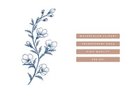 Botanical Frames Watercolor Clipart, a Decorative Illustration by SparkyDesignsUS (Thumbnail 8 of 9)