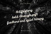 Notely Bold Brush Handwriting Font, a Script Font by PutraCetol Studio (Thumbnail 3 of 5)