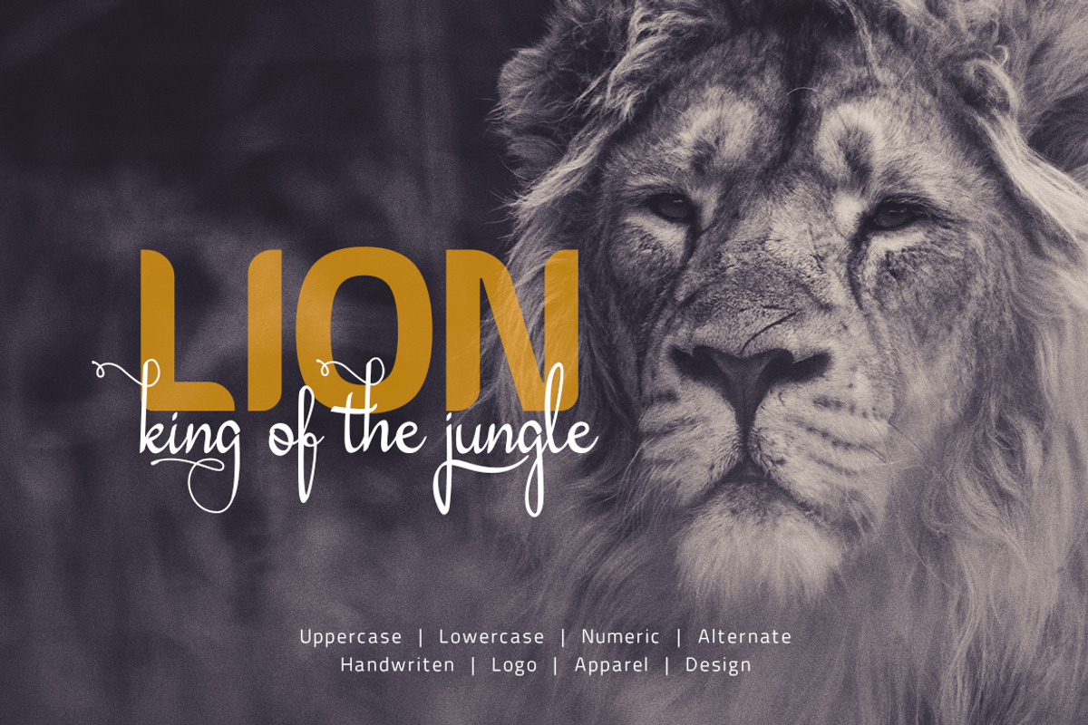 Daesy // Luxury Challigrapy Font preview 6