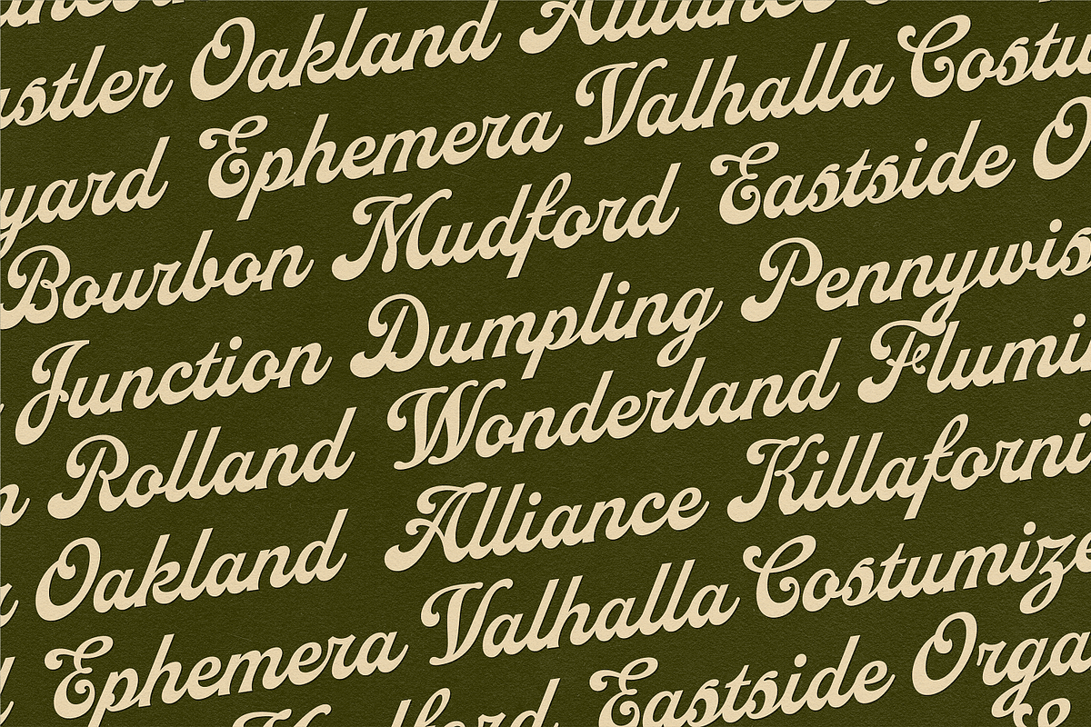 NS Drippy, a Script Font by Novisouldado (Photo 2 of 9)