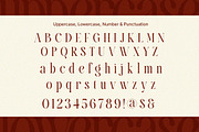 Calvigan - Romantic Elegant Luxury, a Serif Font by Qweera Studio (Thumbnail 10 of 12)