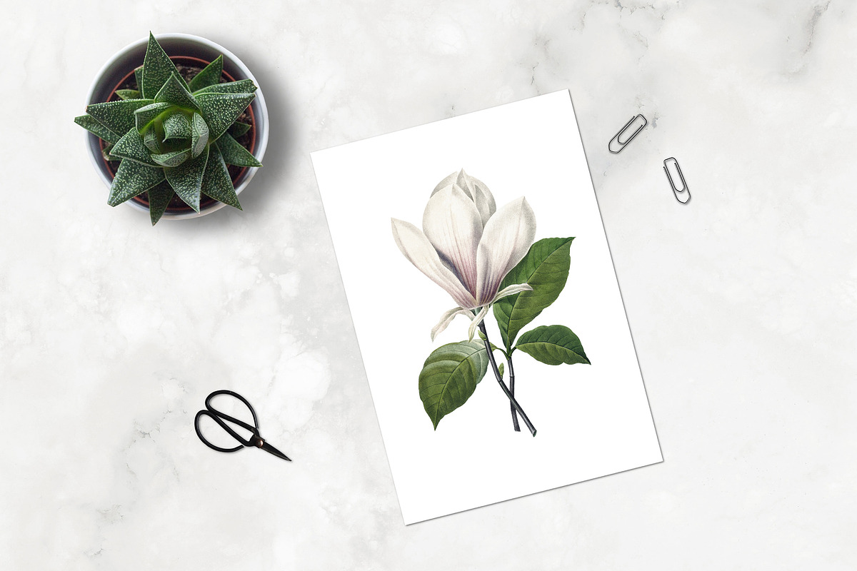 White Floral Clipart, Wreath, Frames, an Illustration by Secret Helper (Photo 2 of 9)