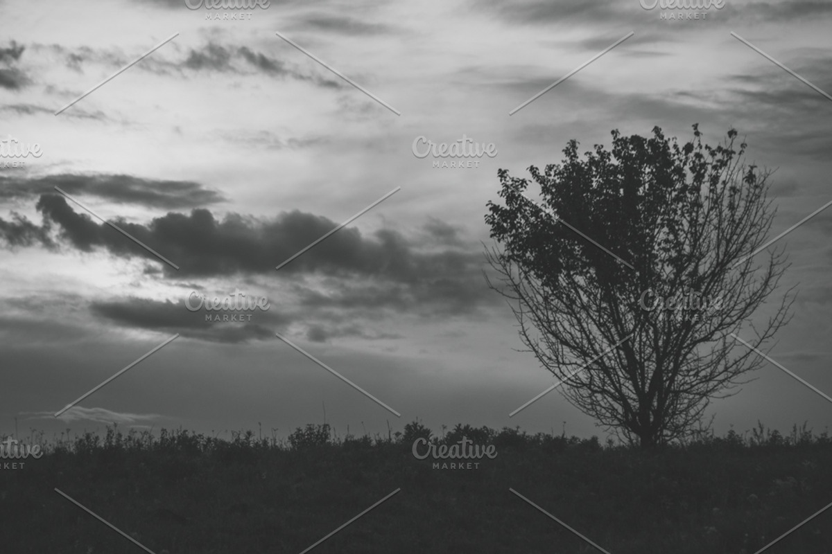 Mood collection, a Photo by Alekseyliss (Photo 2 of 21)