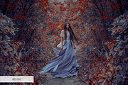 Bird Overlays Photoshop, a Plug-in Add-On by FixThePhoto (Thumbnail 32 of 32)