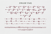 Twisty Squosh, a Script Font by DiosiArt (Thumbnail 11 of 12)