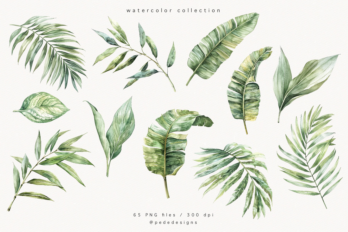 Watercolor Tropical Plants, a Decorative Illustration by PeDe Designs