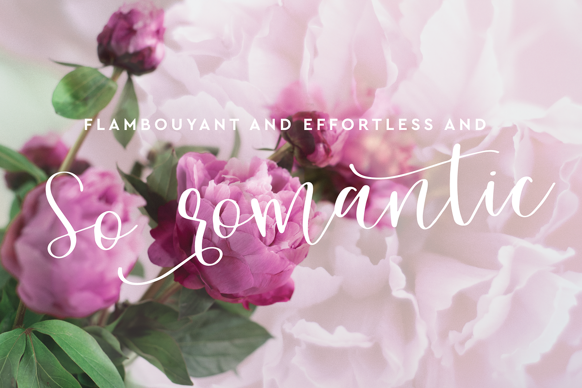 Sweet Carolina, a Script Font by Hewitt Avenue (Photo 9 of 11)