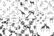 Animals, an Animal Illustration by Ecaterina Sciuchina (Thumbnail 4 of 5)