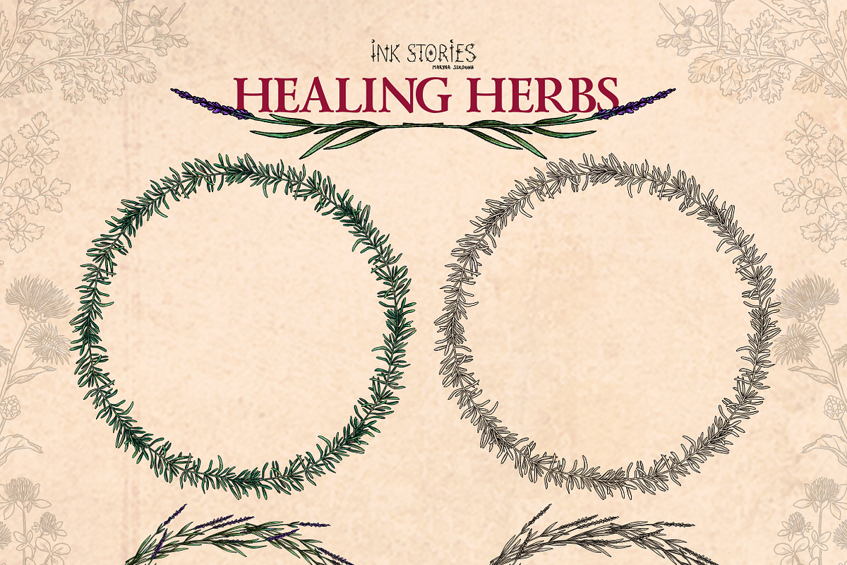 Healing Herbs * Botanical Bundle, a Healthcare Illustration by Ink Stories (Photo 9 of 13)