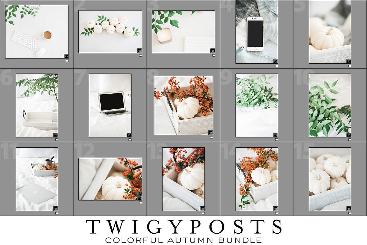 Colorful Autumn Stock Photo Bundle, a Household Mockup by ...