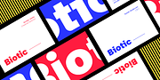 Biotic, a Sans Serif Font by TypeUnion (Thumbnail 3 of 15)