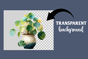 Watercolor House Plants clipart, an Illustration by Designworld (Thumbnail 4 of 6)