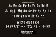 Blackmonssta – Authentic Brush Font, a Handwritten Font by Almarkhatype (Thumbnail 2 of 10)