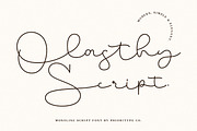 Olasthy Script, a Script Font by Prioritype Co (Thumbnail 1 of 10)