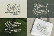 Olivelifes Script Font, a Script Font by alit design (Thumbnail 2 of 15)