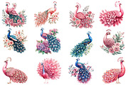 Wedding Peacock Clipart, an Illustration by Designworld (Thumbnail 4 of 5)