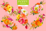 Poppy Love Floral Clip Art, an Object Graphic by Eclectic Anthology (Thumbnail 12 of 18)
