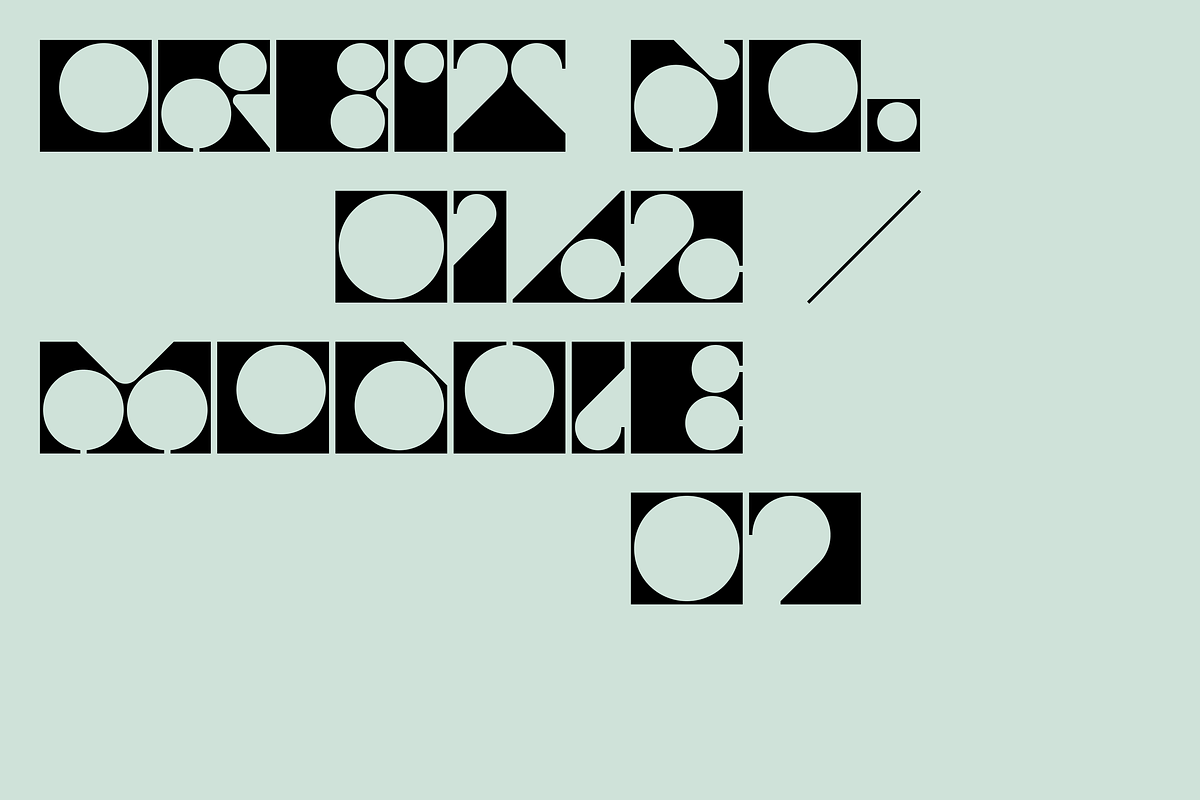 Voidica, a Sans Serif Font by Nameless Type Foundry (Photo 3 of 10)