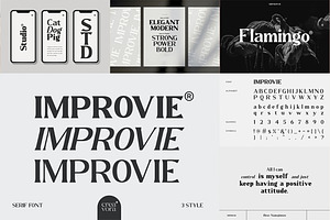 The Modern Font Bundle