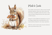 100 autumn mushroom clip art, a Seasonal Illustration by Poppy Lane Studio (Thumbnail 7 of 11)