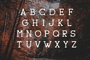Sherman Font + 3 Logo Templates, a Serif Font by Ben Teschner Design (Thumbnail 2 of 6)