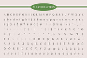 Gamilia Rough, a Serif Font by Craft Supply Co. (Thumbnail 8 of 8)