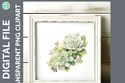 Cactus Succulent Illustration Bundle, an Animal Illustration by Enliven Designs (Thumbnail 6 of 8)