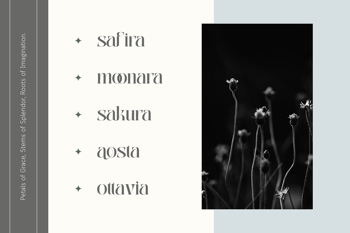 Abogia - Modern Serif Logo Font, a Serif Font by Nirmana Visual (Photo 4 of 16)