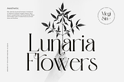 Megisin - Elegant Display Serif Font, a Serif Font by PuriCreative (Thumbnail 4 of 10)