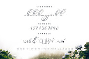 Theodoria Script Font, a Script Font by Creativeqube Design (Thumbnail 16 of 16)