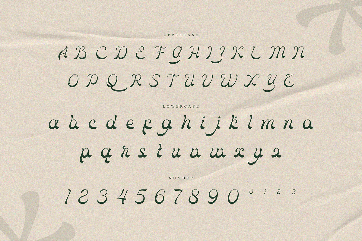 Vibrants — Modern Calligraphy Script, a Script Font by Krismagraph (Photo 10 of 10)
