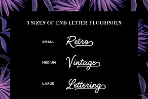 Bloomsbury - Script, Sans & Serif