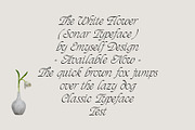 ED - Sonar Typeface, a Script Font by Emyself Design (Thumbnail 2 of 12)