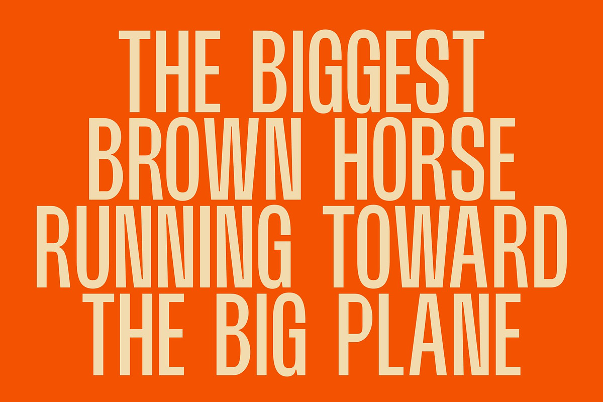 CS Rascal – Condensed Font, a Sans Serif Font by Craft Supply Co. (Photo 5 of 8)