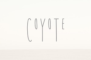 Coyote A Playful Font