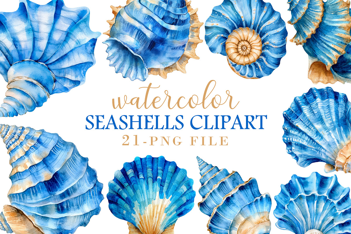 Watercolor Seashell Clipart, an Illustration by Libby Wishes (Photo 1 of 5)