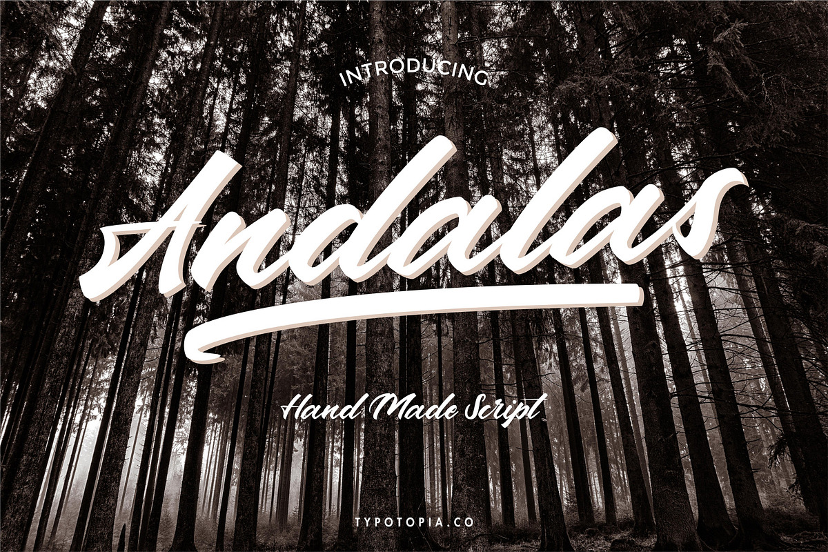 Andalas, a Script Font by edukka (Photo 1 of 9)