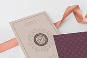 230 Wedding Overlays and Titles, an Invitation Template by Vasya Kobelev (Thumbnail 37 of 47)