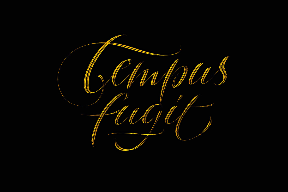 Blackletter Pro Brushes / Procreate, a Brush Add-On by the Fontmaker (Photo 8 of 19)