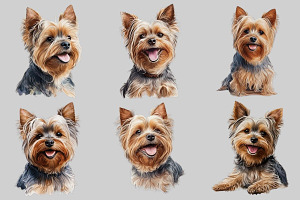 Watercolor Yorkshire Terrier Dog