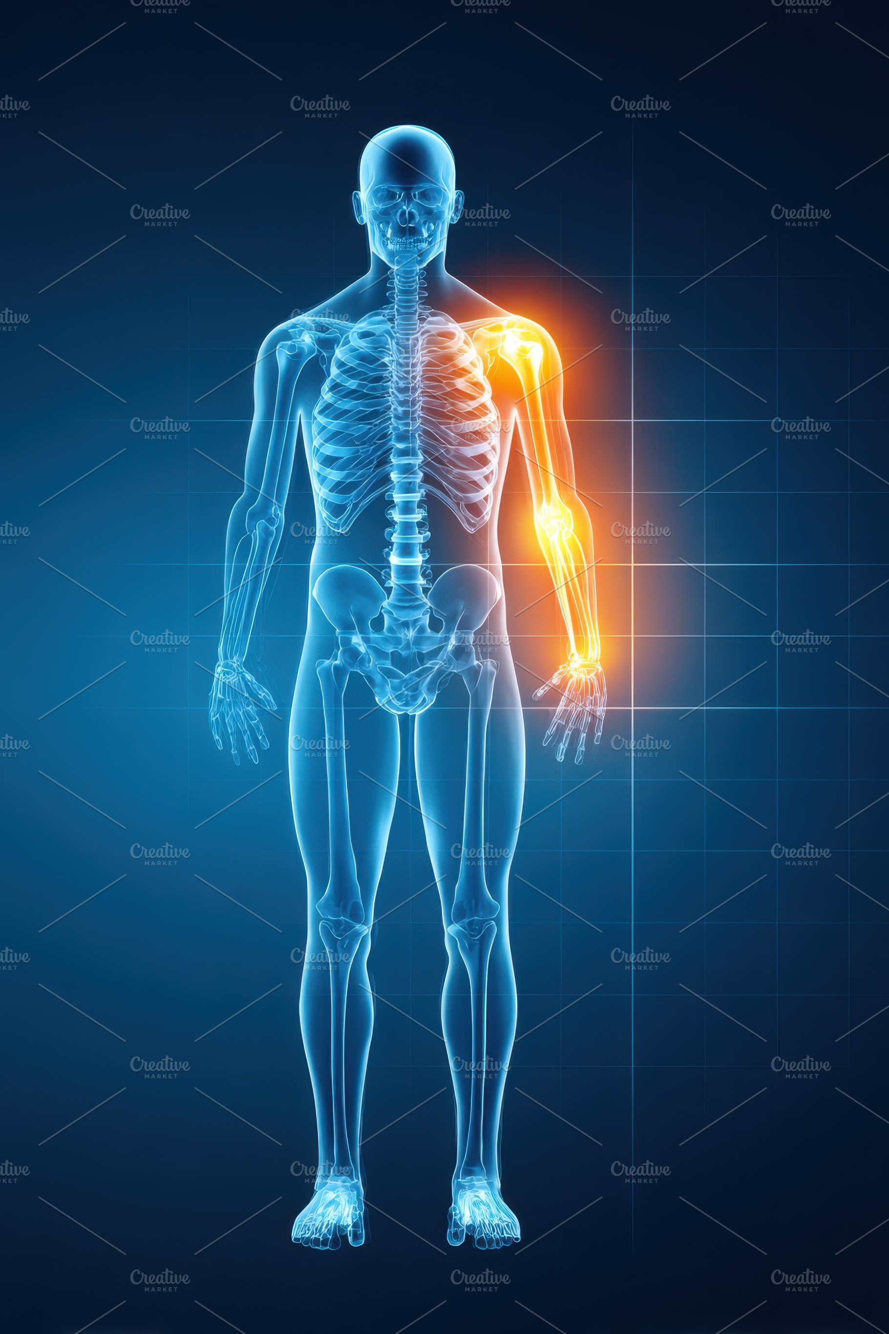 Digital Illustration of Human Skeleton with Highlighted Arm Joint, a Health & Medical Photo by AlyaAnd